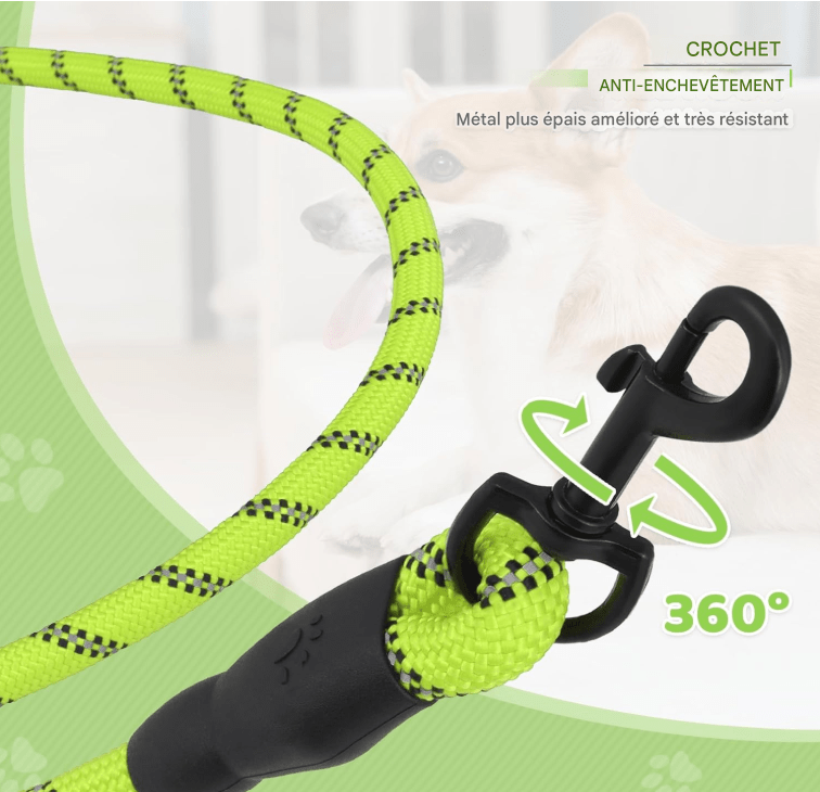 Laisse pour chien - StrongLeash™ - Vert - Mr Chien