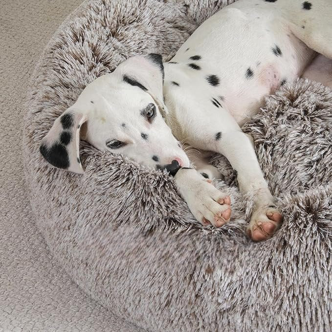 Lit pour Chien - FluffyDogBed™ - Café Dégradé - Mr. Chien