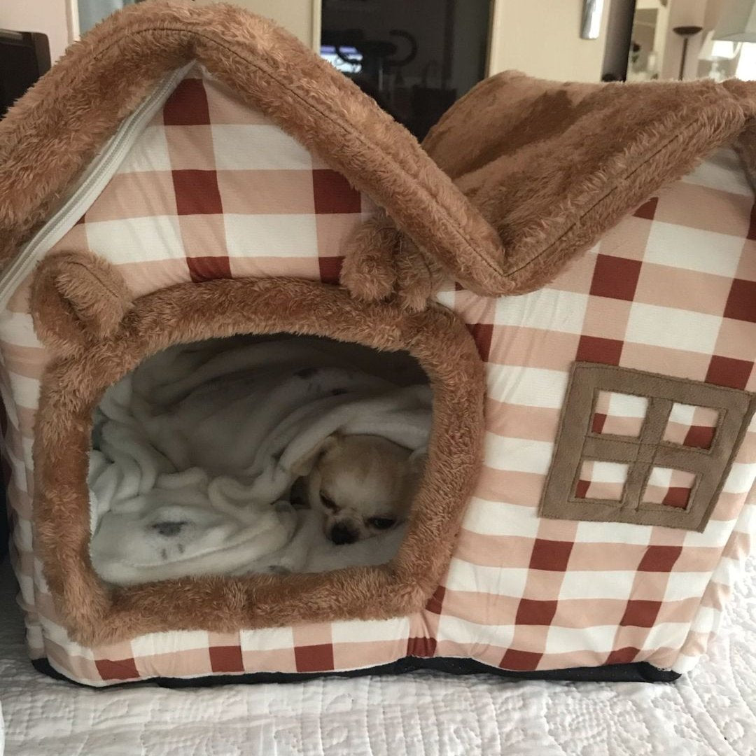 Niche pour Chien - ComfortableDogHouse™ - Marron Toiture Double - Mr. Chien