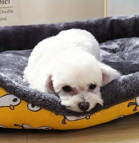 Panier Chien - SoftBasketâą - Jaune - Mr Chien