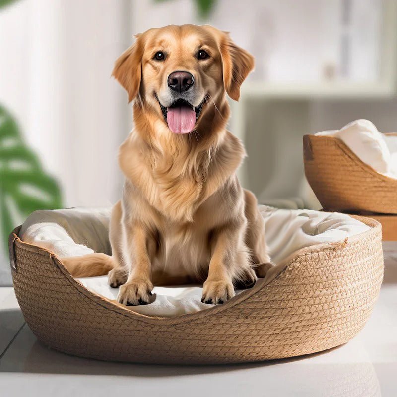 Panier Chien - WickerBasket™ - Mr Chien