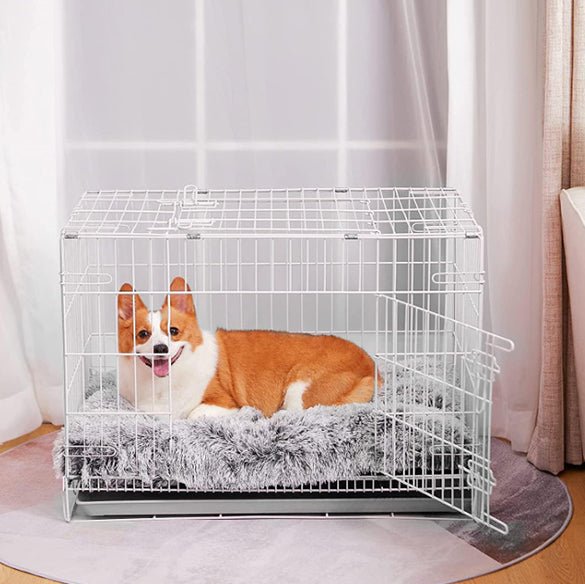 Tapis pour Chien - FurryDogMatâą - Gris clair - Mr Chien