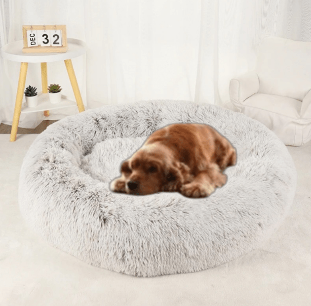 Coussin pour Chien - CozyDogDonut™ - Café dégradé - Mr Chien