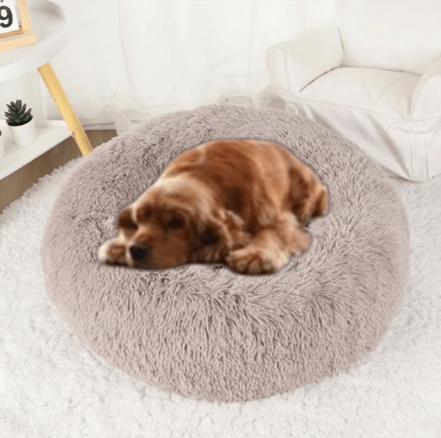 Coussin pour Chien - CozyDogDonut™ - Cappucino - Mr Chien