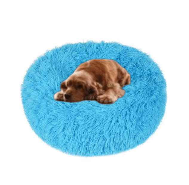 Coussin pour Chien - CozyDogDonut™ - Turquoise - Mr Chien