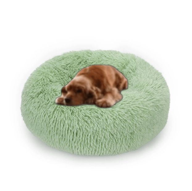 Coussin pour Chien - CozyDogDonut™ - Vert fruit - Mr Chien