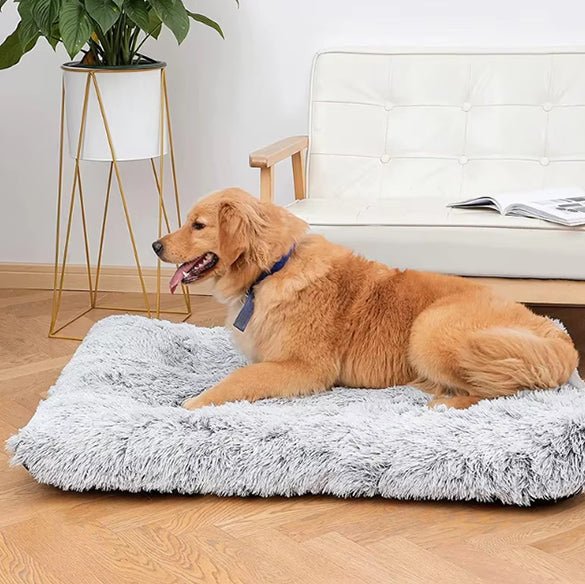 Tapis pour Chien - FurryDogMat™ - Gris clair - Mr Chien