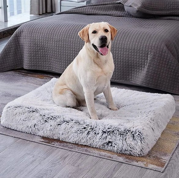 Tapis pour Chien - FurryDogMat™ - Gris clair - Mr Chien