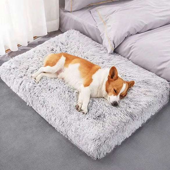 Tapis pour Chien - FurryDogMat™ - Gris clair - Mr Chien