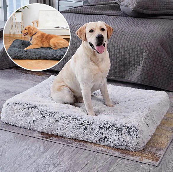 Tapis pour Chien - FurryDogMat™ - Gris foncé - Mr Chien