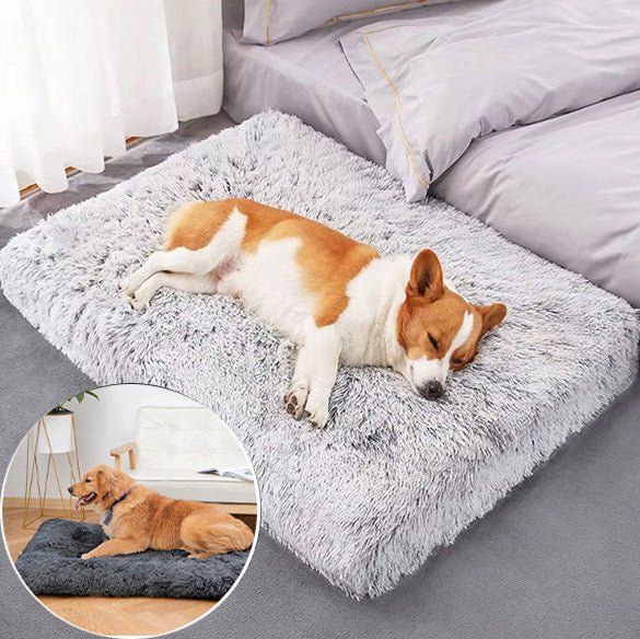 Tapis pour Chien - FurryDogMat™ - Gris foncé - Mr Chien